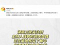 娱乐吃瓜小号,吃瓜小号带你探秘明星幕后故事