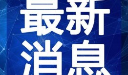 嘉善星派爆料最新消息视频,揭秘视频背后的惊人真相