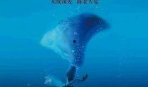 深海寻人 在线观看
