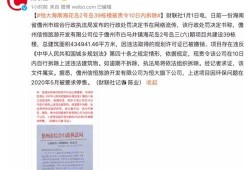 房地产最新消息爆料,最新房地产政策解读与市场动态揭秘