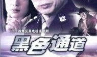 西藏警察爆料案件最新,最新案件背后惊心动魄的侦破历程