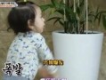 威廉跑腿爆料视频,揭秘幕后真相，带你走进神秘世界