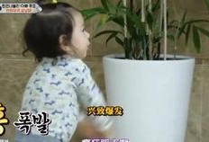 威廉跑腿爆料视频,揭秘幕后真相，带你走进神秘世界