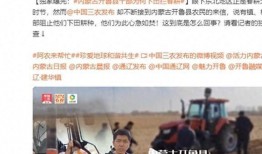 陈小冉爆料新闻报道视频,独家爆料新闻报道视频幕后内幕