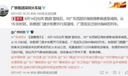 大鹏养家爆料新闻事件,真相背后引人深思